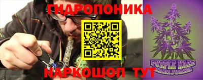 Альфа ПВП Бийск