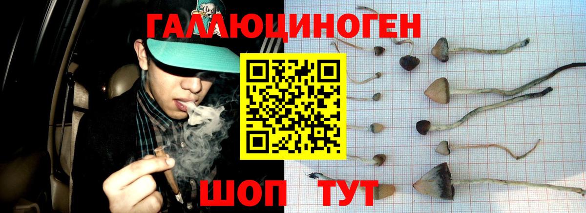 Псилоцибиновые грибы MAGIC MUSHROOMS Звенигород